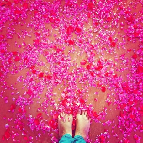 Roses and Feet by Tanushree Vaidya